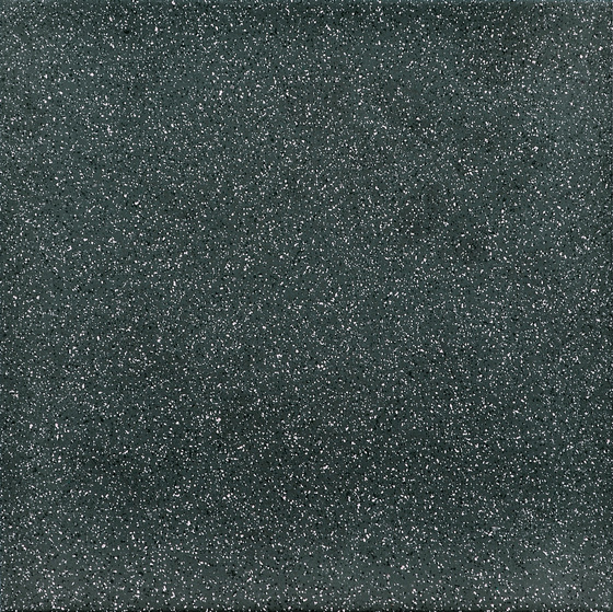 7202.jpg