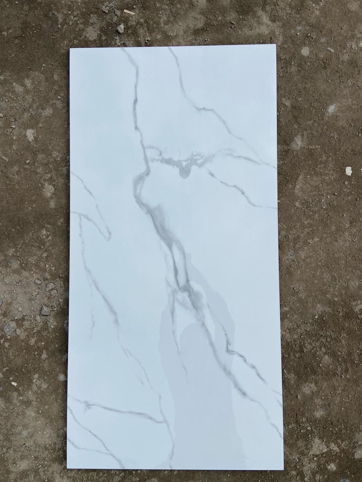 SPIDER GREY 1